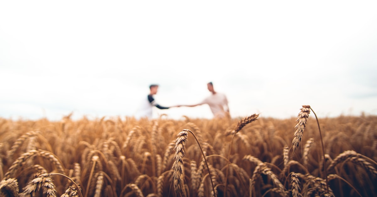 Agricultura Sustentavel
